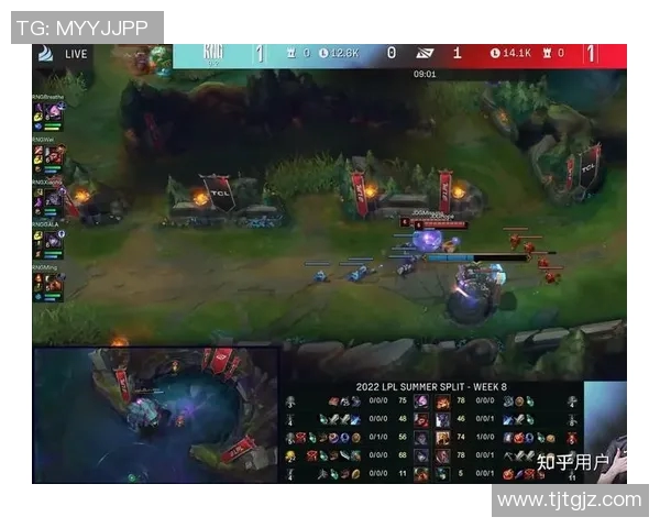 赛后复盘：深入分析JDG与RNG对决中的技术细节与战术运用