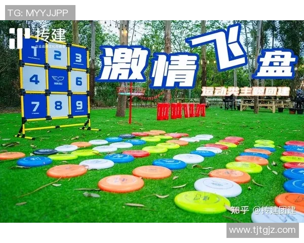 飞盘运动的魅力与挑战：深入探讨西安飞盘队的灵活性与团队合作精神