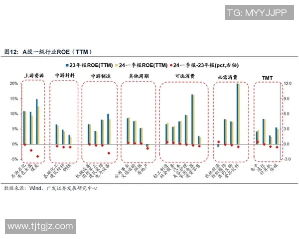 成都滑板队的成功运营模式与发展策略深度解析